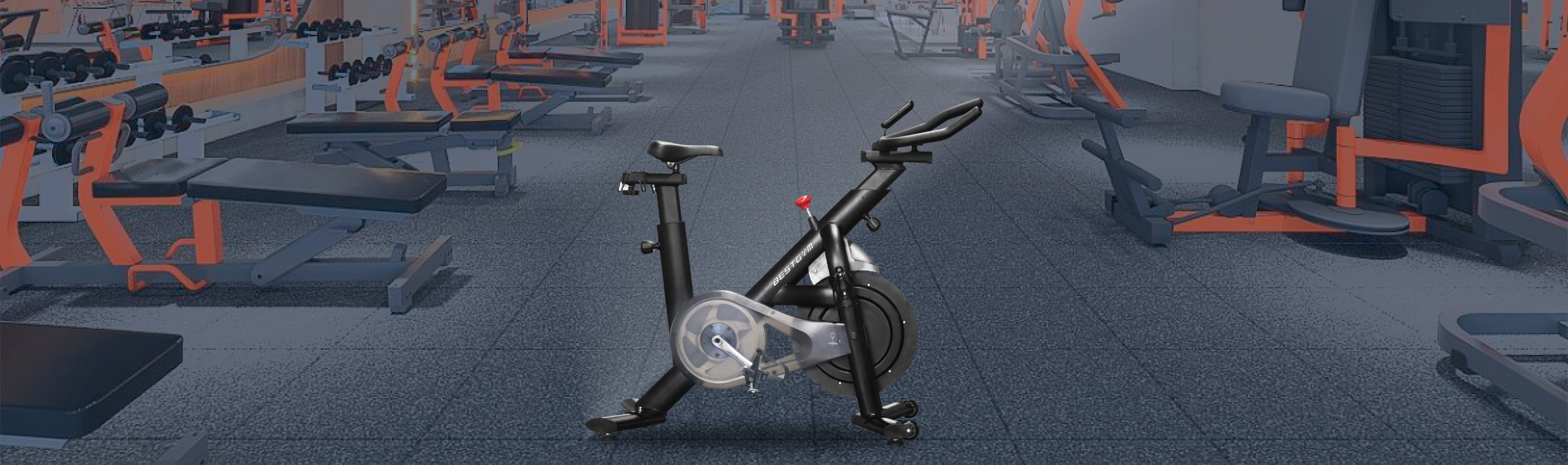 Fitness Manufacturer